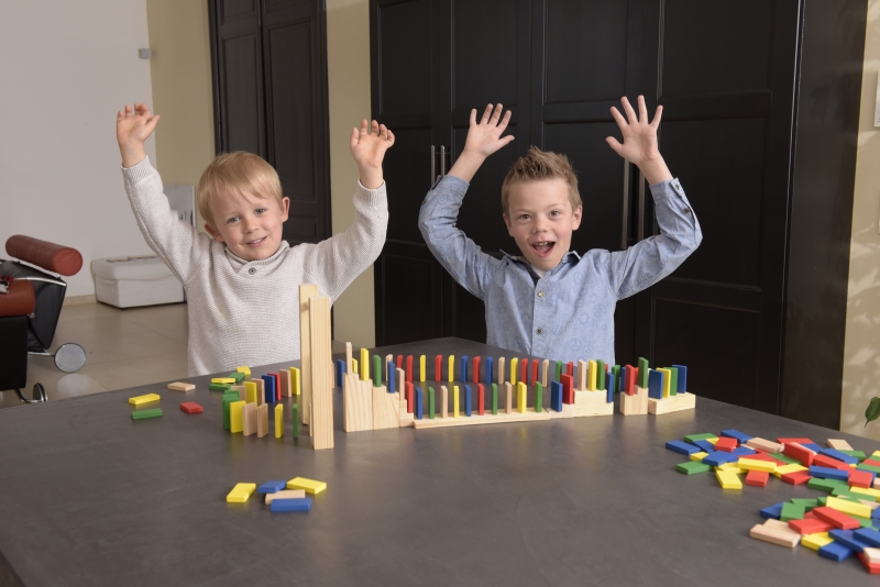 Jeu domino rally / Egmond toys