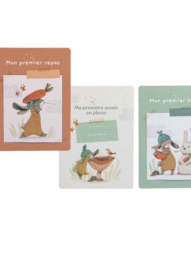 Cartes Mes 12 premiers mois I Trois petits lapins / Moulin roty
